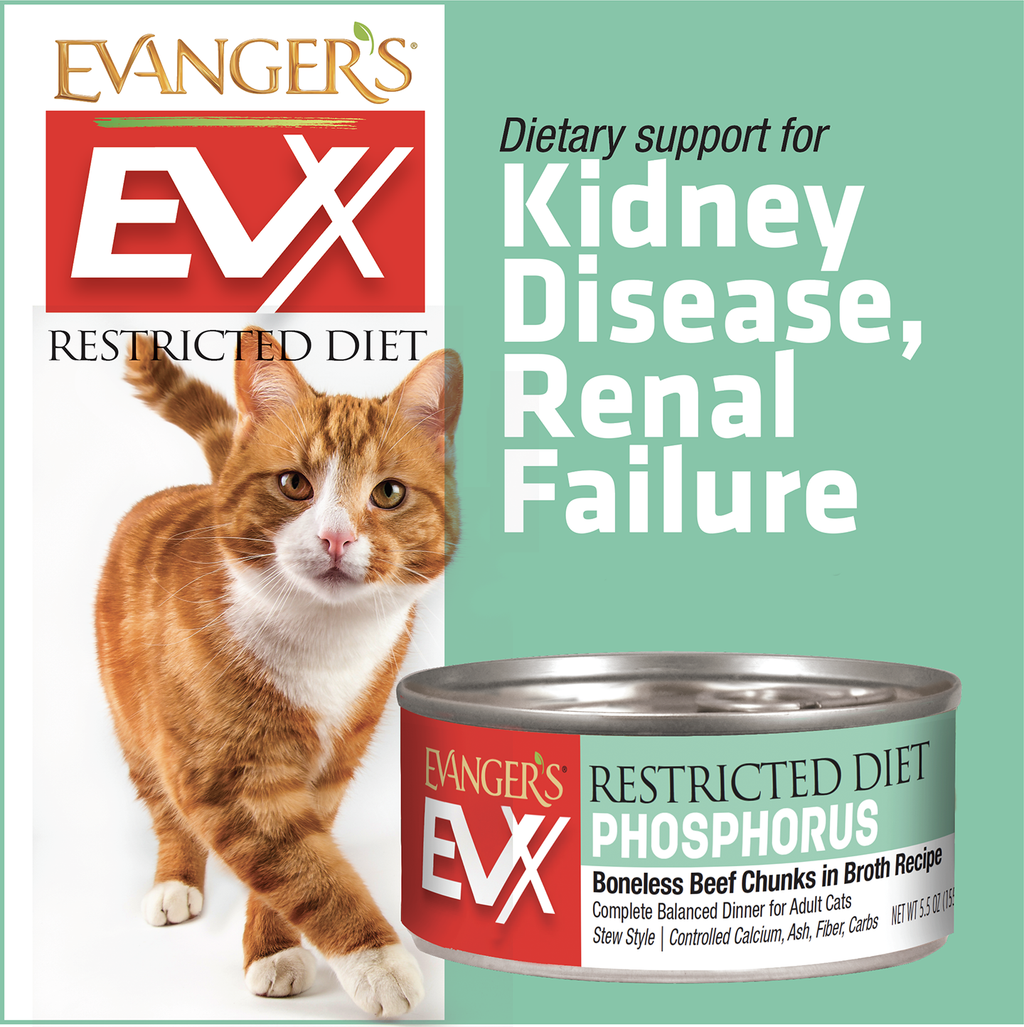 Evanger's EVx Restricted Diet Low Phosphorus Wet Cat Food Boneless Beef Chunks in Broth 24ea/5.5 oz, 24 pk - Pet Store X