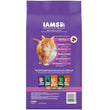 IAMS Proactive Health Kitten Dry Cat Food Chicken 1ea/3.5 lb - Pet Store X