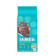 IAMS Proactive Health Weight Control & Hairball Care Indoor Adult Dry Cat Food Chicken & Turkey 1ea/3.5 lb - Pet Store X