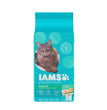 IAMS Proactive Health Weight Control & Hairball Care Indoor Adult Dry Cat Food Chicken & Turkey 1ea/35 lb for your Pet Cat with Pet Store X!