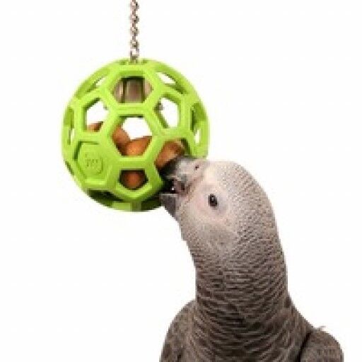 JW Pet ActiviToy Hol-ee Roller Bird Toy Multi-Color 1ea/LG - Pet Store X