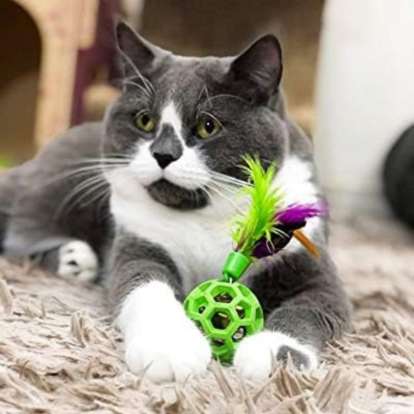 JW Pet ActiviToy Tilt Wheel Bird Toy Assorted 1ea/One Size for your Pet Dog with Pet Store X.