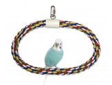 JW Pet Swing N Perch Ring Multi-Color 1ea/LG - Pet Store X