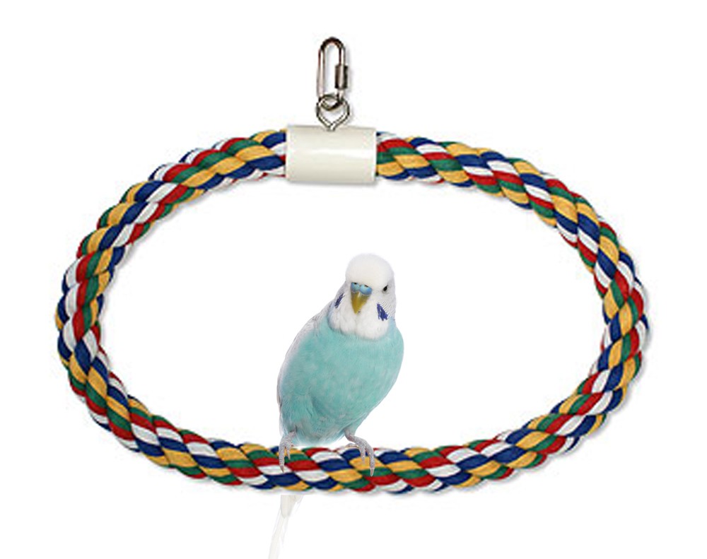 JW Pet Swing N Perch Ring Multi-Color 1ea/MD - Pet Store X