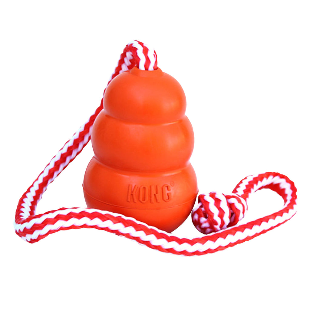 KONG Aqua Dog Toy 1ea/LG - Pet Store X