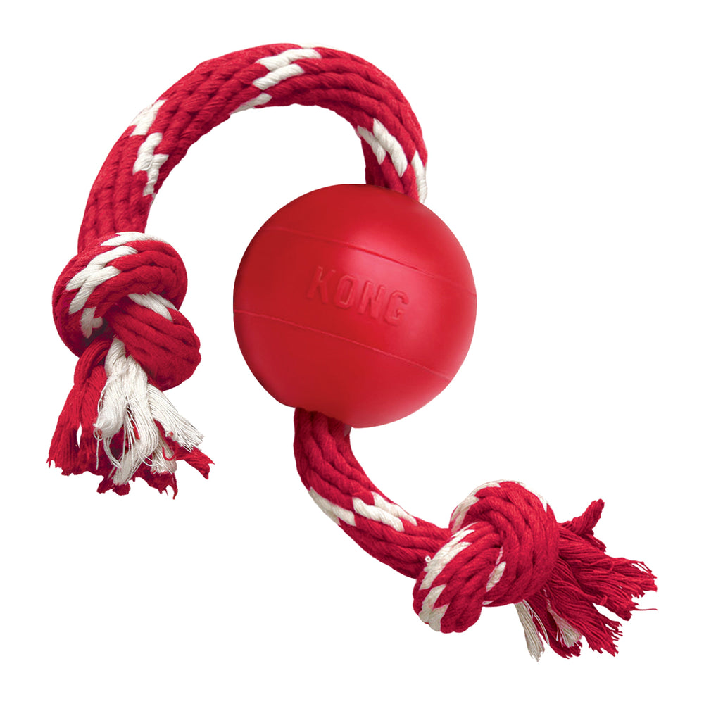 KONG Ball with Rope Dog Toy Red 1ea/SM - Pet Store X