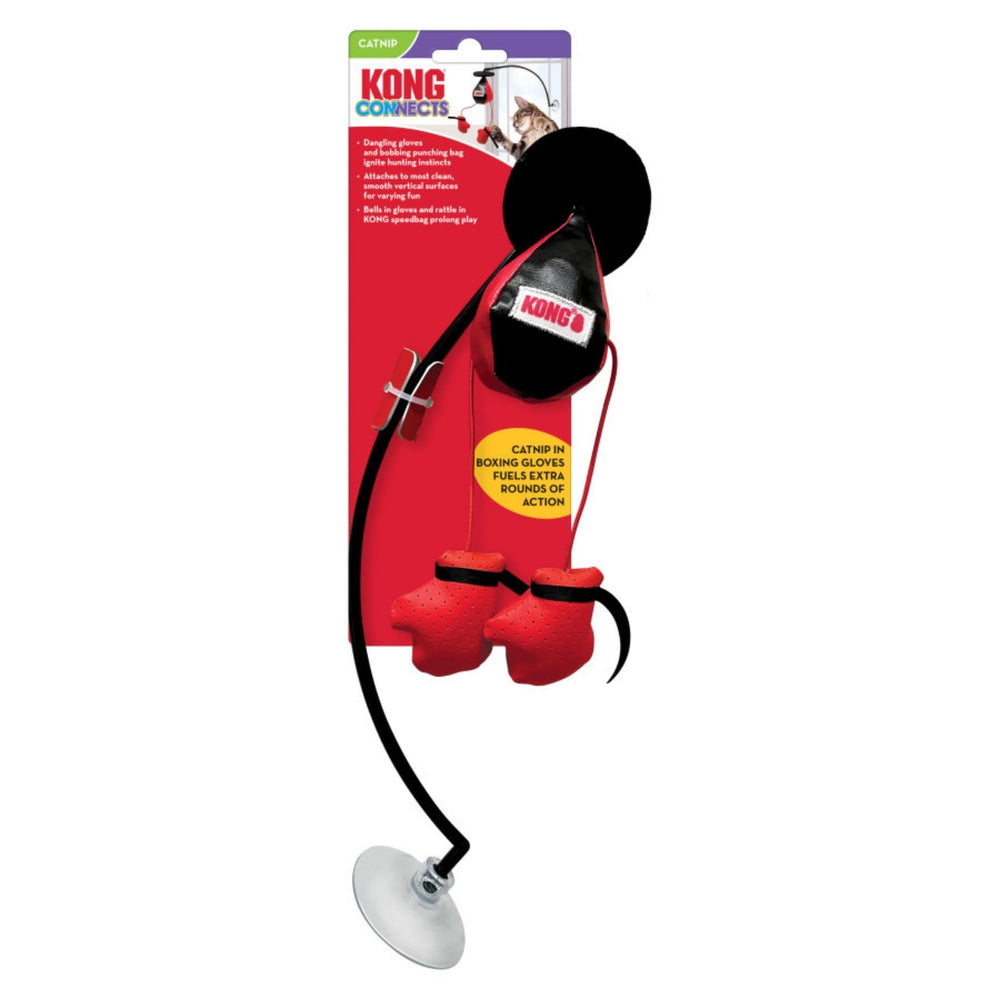 KONG Connects Window Boxing Cat Toy 1ea/One Size - Pet Store X