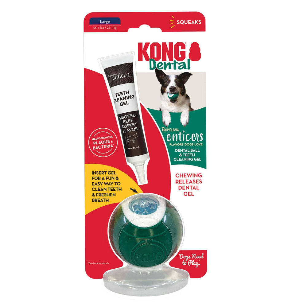 KONG Dental Ball w/Tropiclean Enticer Teeth Cleaning Gel Honey Chicken 1ea/LG, 1 oz - Pet Store X