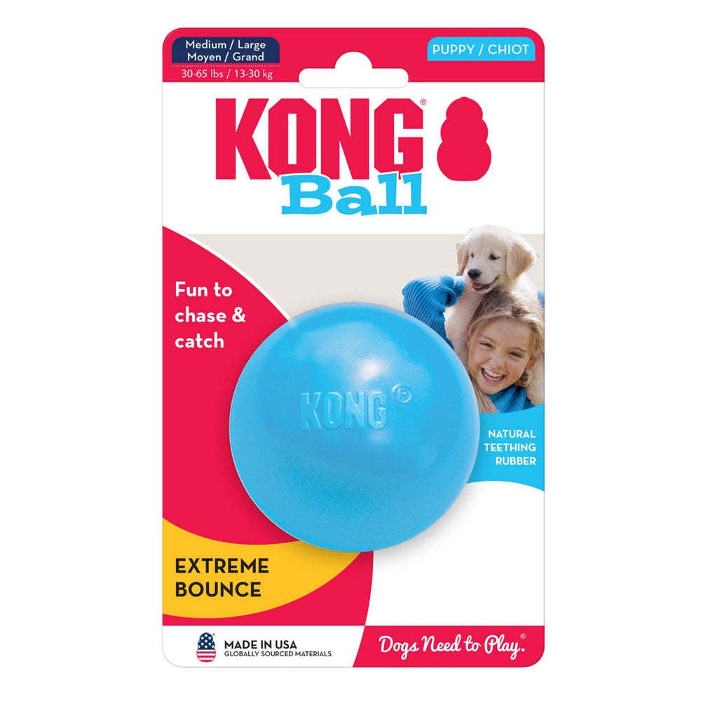 KONG Puppy Ball with Hole Dog Toy Assorted 1ea/MD/LG - Pet Store X