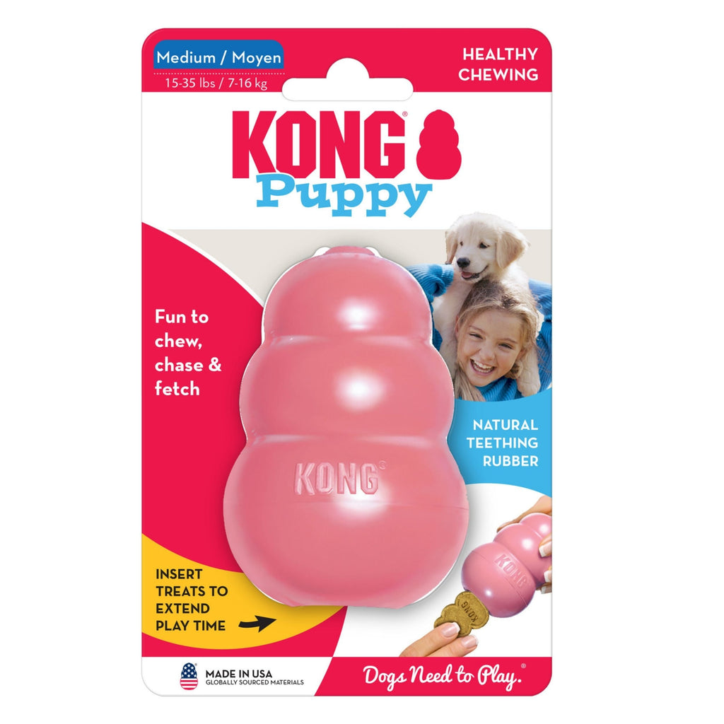 KONG Puppy Toy Assorted 1ea/MD for your Pet Dog with Pet Store X.