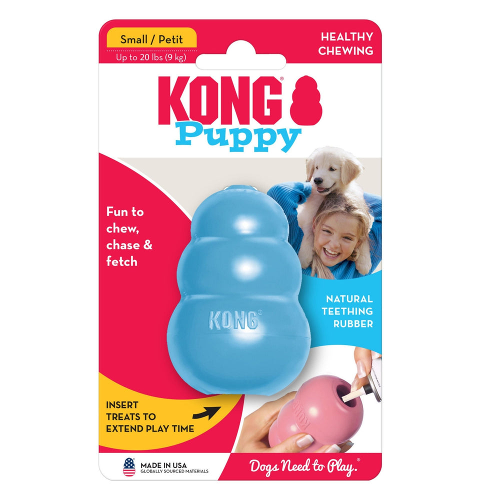 KONG Puppy Toy Assorted 1ea/SM - Pet Store X