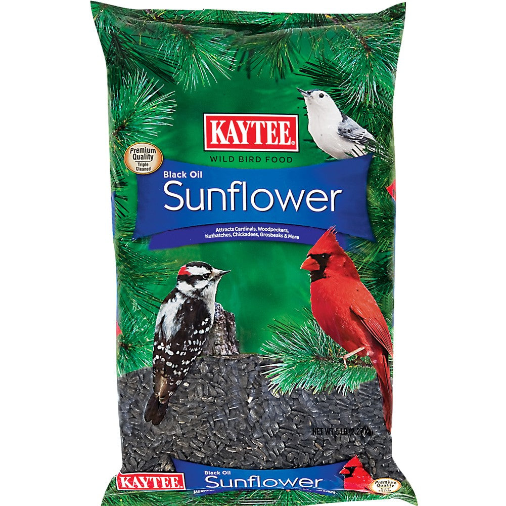 Kaytee Black Oil Sunflower Food 1ea/5 lb for your Pet Bird with Pet Store X.