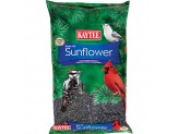 Kaytee Black Oil Sunflower Food 1ea/5 lb - Pet Store X