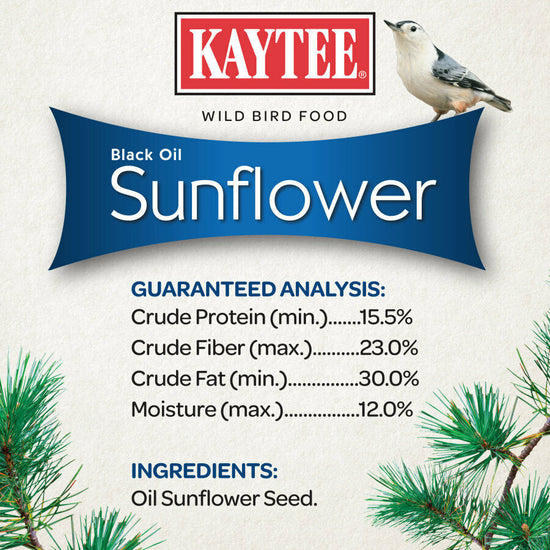 Kaytee Black Oil Sunflower Food 1ea/5 lb - Pet Store X