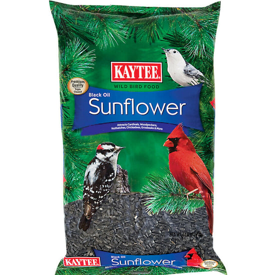 Kaytee Black Oil Sunflower Food 1ea/5 lb - Pet Store X