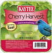 Kaytee Cherry Harvest High Energy Suet 1ea/11.75 oz - Pet Store X