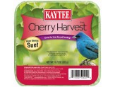 Kaytee Cherry Harvest High Energy Suet 1ea/11.75 oz - Pet Store X