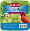 Kaytee Positively Peanut High Energy Mini Suet 1ea/11 oz - Pet Store X