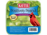 Kaytee Positively Peanut High Energy Mini Suet 1ea/11 oz - Pet Store X