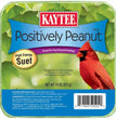 Kaytee Positively Peanut High Energy Mini Suet 1ea/11 oz for your Pet Bird with Pet Store X.