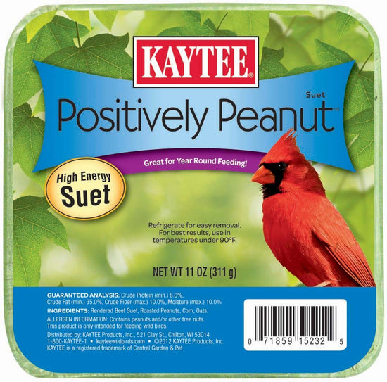 Kaytee Positively Peanut High Energy Mini Suet 1ea/11 oz for your Pet Bird with Pet Store X.