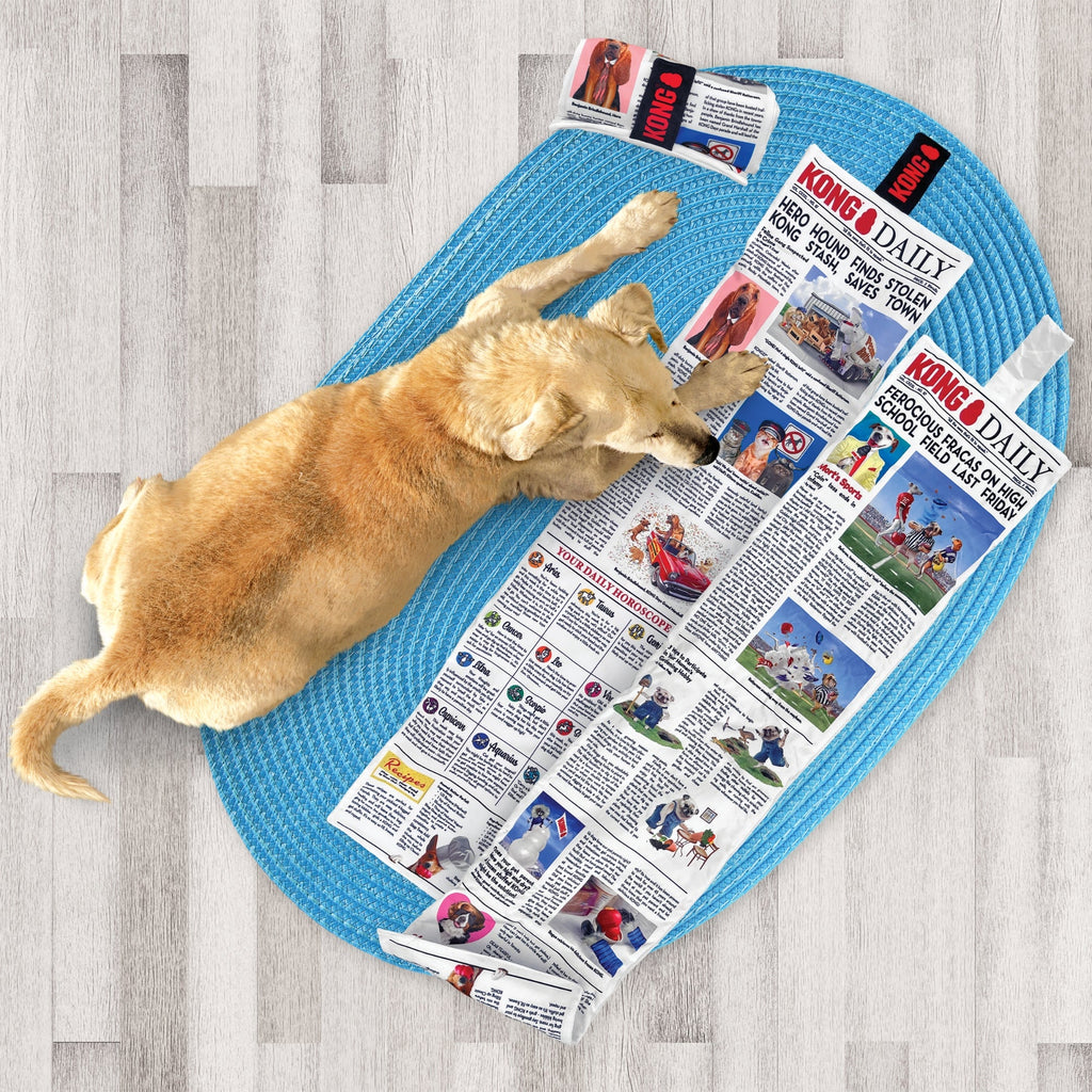 Kong Dog Daily Newspaper Xlarge - Pet Store X