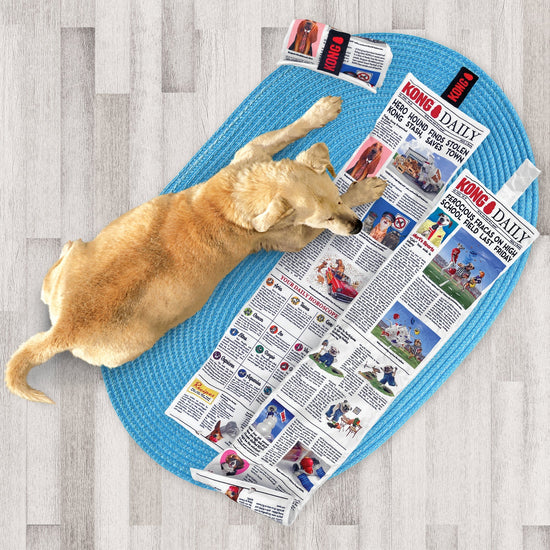 Kong Dog Daily Newspaper Xlarge - Pet Store X