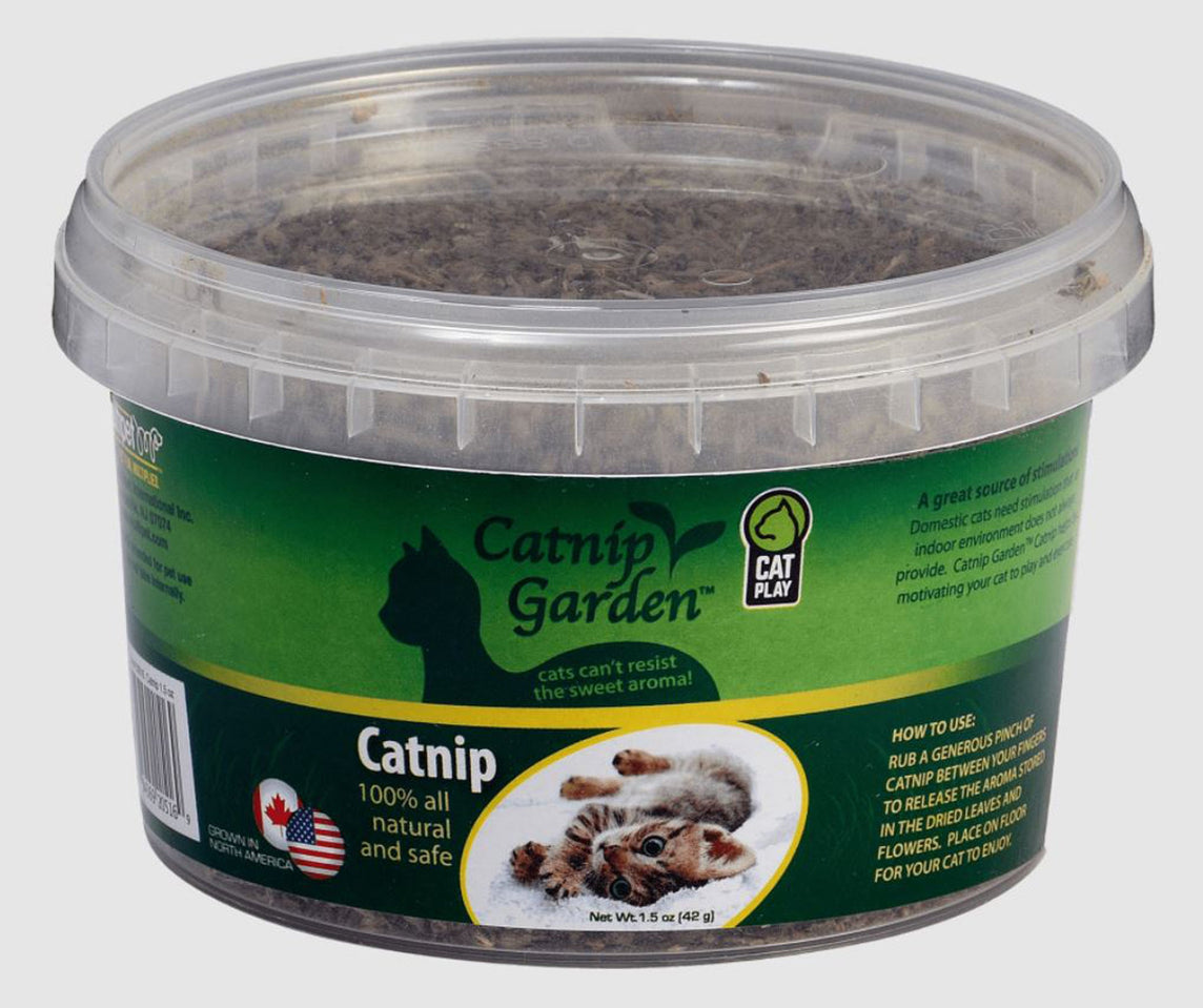 Multipet Catnip Garden North American Catnip Sealed Cup 1.5oz - Pet Store X