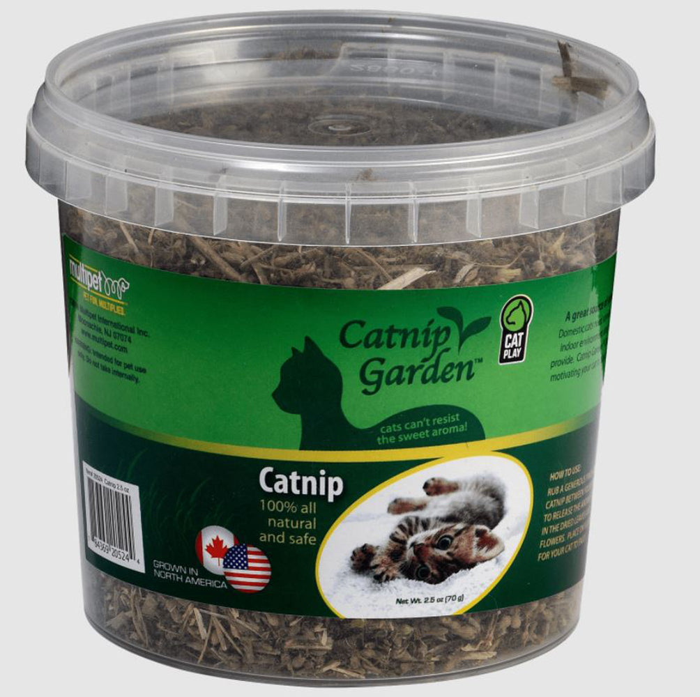 Multipet Catnip Garden North American Catnip Sealed Cup 2.5oz - Pet Store X