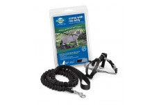 PetSafe Premier Come With Me Kitty Harness & Bungee Leash Combo Black/Silver 1ea/SM - Pet Store X