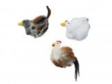 Spot Birds of a Feather Catnip Toy Assorted 6 in - Pet Store X