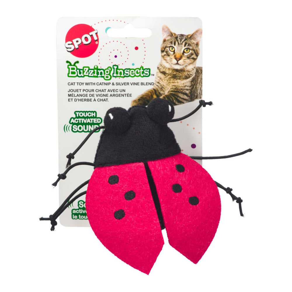 Spot Buzzing Insects Cat Toy Assorted, 1ea/5 in - Pet Store X