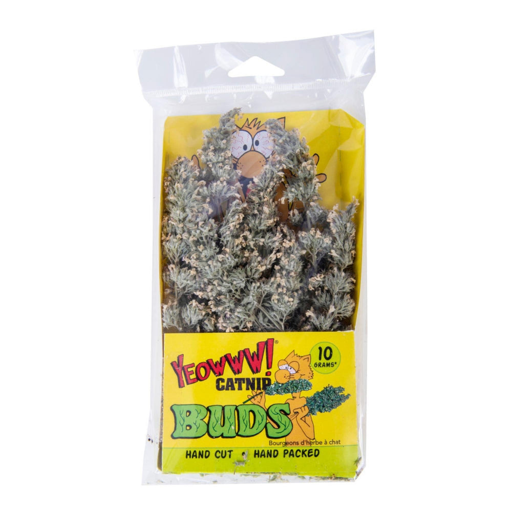 Yeowww! Catnip Buds Cat Treat 1ea/10 g - Pet Store X