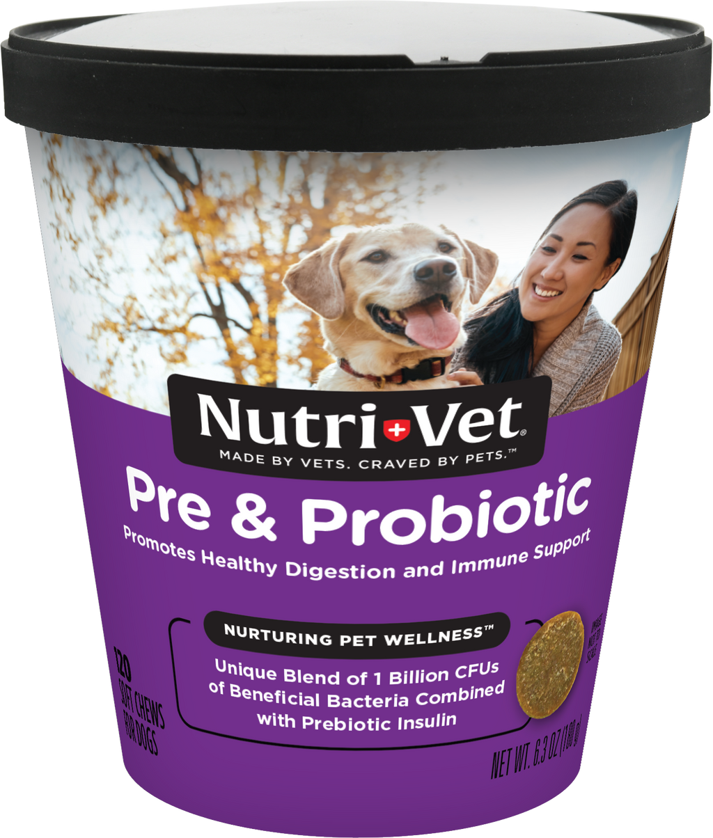 NutriVet Pre and Probiotics Soft Chews for Dogs 1ea/120 ct for your Pet Dog with Pet Store X.